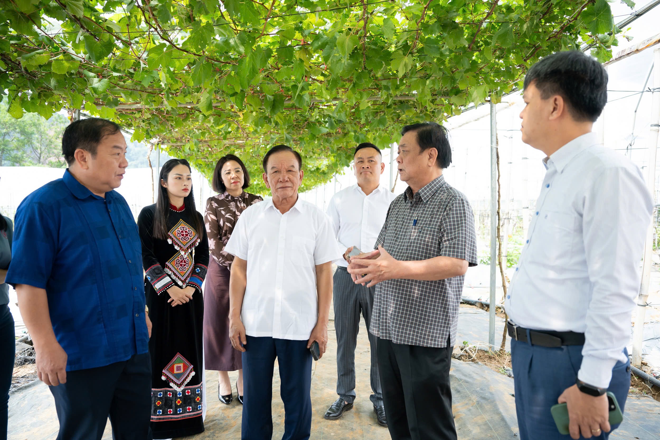 Phó Chủ tịch Quốc hội Lê Minh Hoan thăm hợp tác xã nông nghiệp du lịch ...