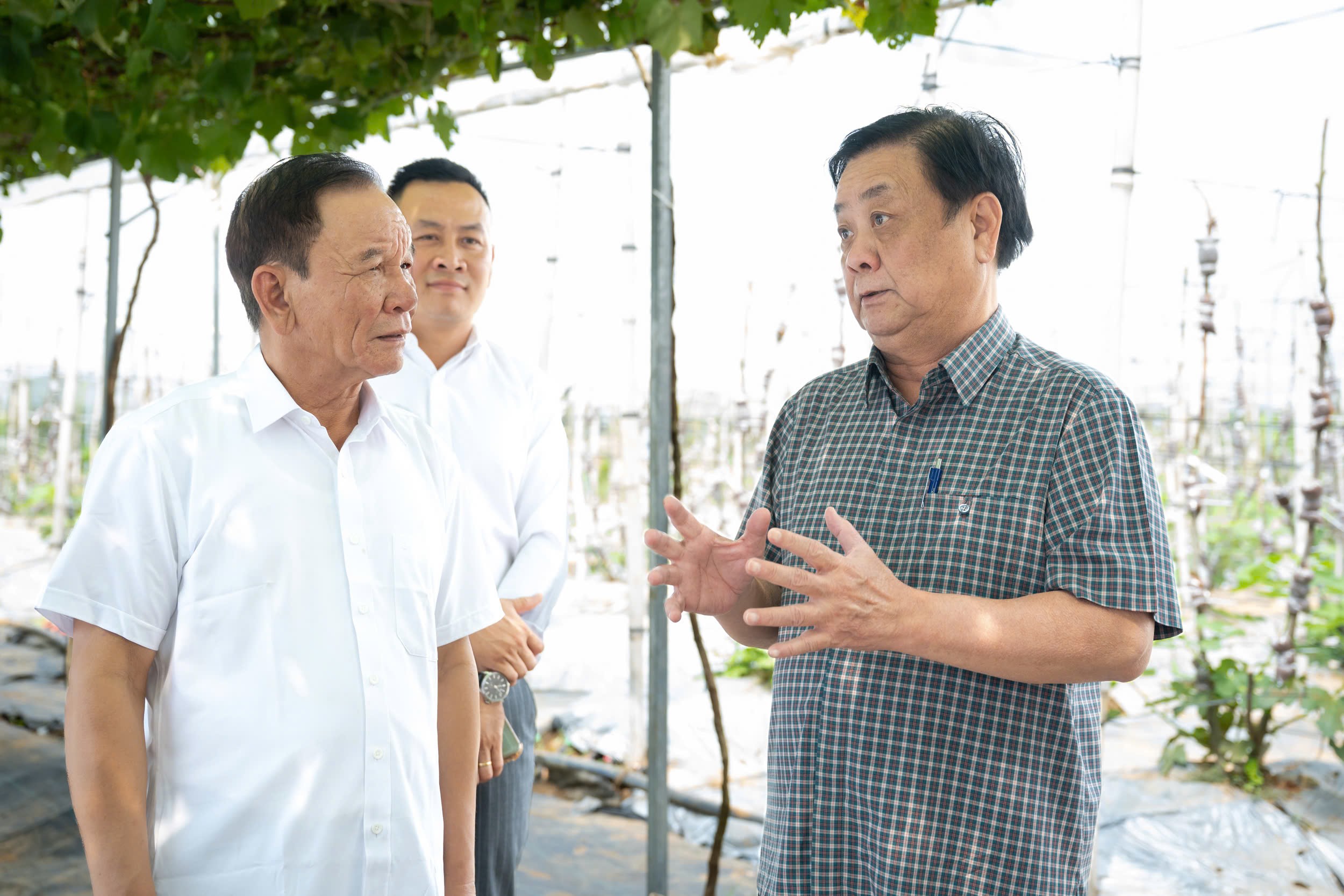 Phó Chủ tịch Quốc hội Lê Minh Hoan thăm hợp tác xã nông nghiệp du lịch ...