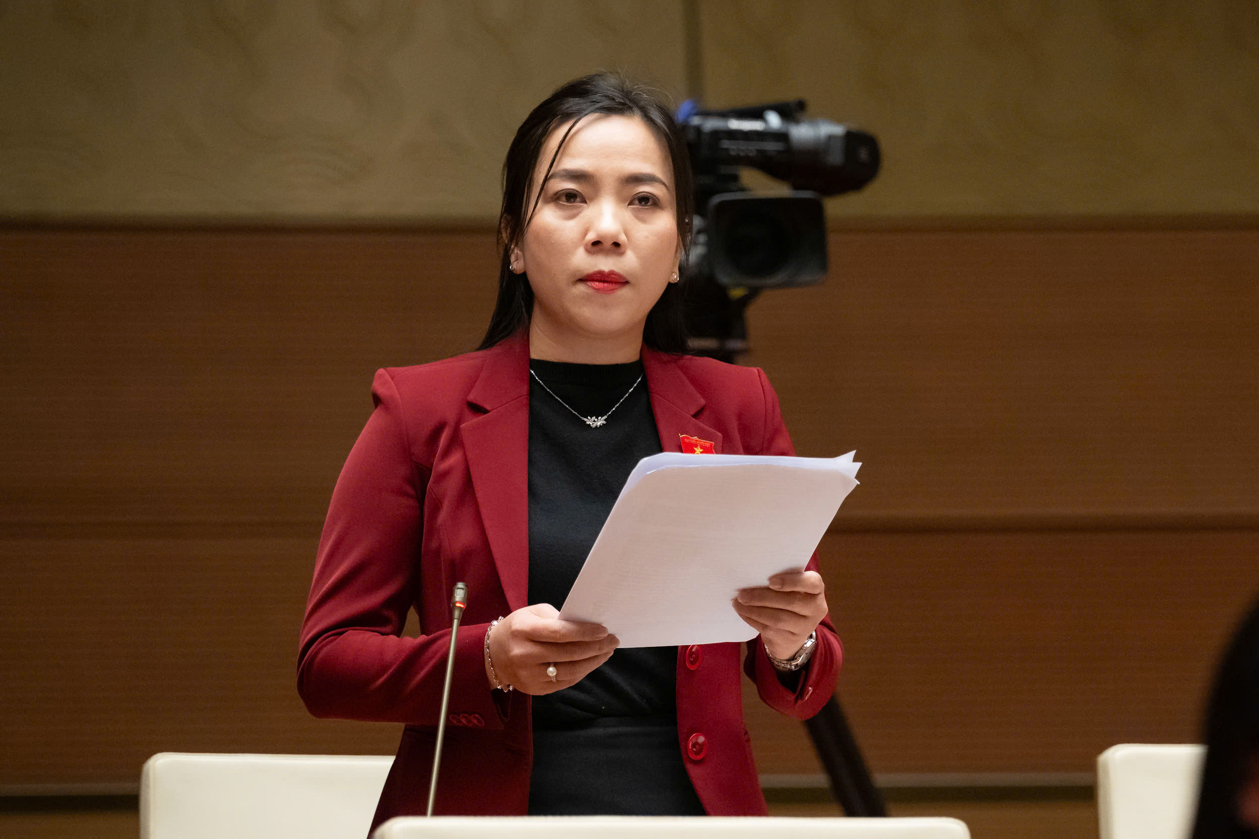 ĐBQH đề nghị không áp dụng cứng nhắc yêu cầu lập Quy hoạch chung xã, mà phân loại theo mức độ đô thị hóa