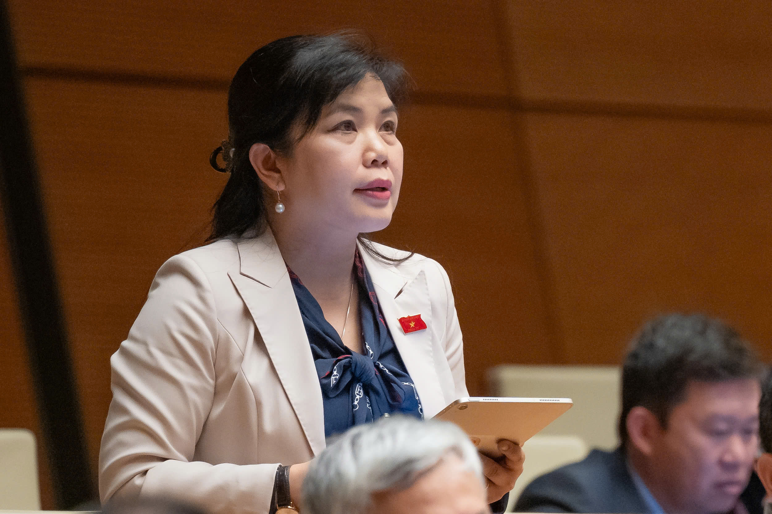 Phân cấp độ trong quy hoạch đô thị và nông thôn: Phải đảm bảo sự rõ ràng và dễ dàng quản lý