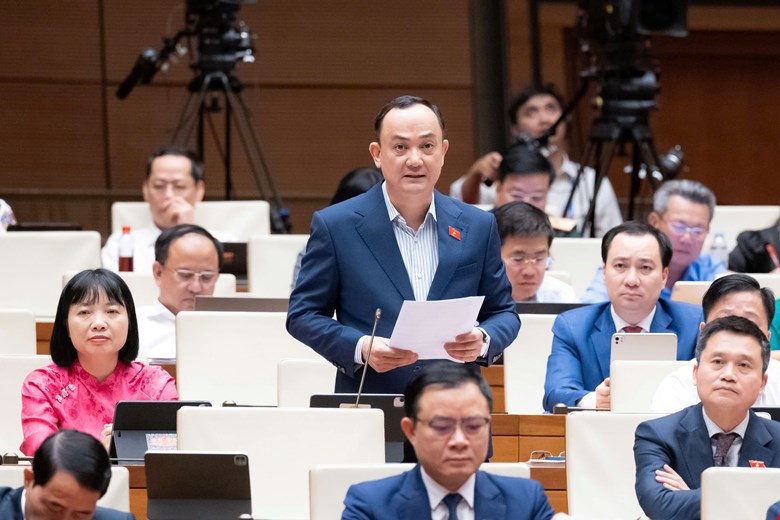 đại biểu