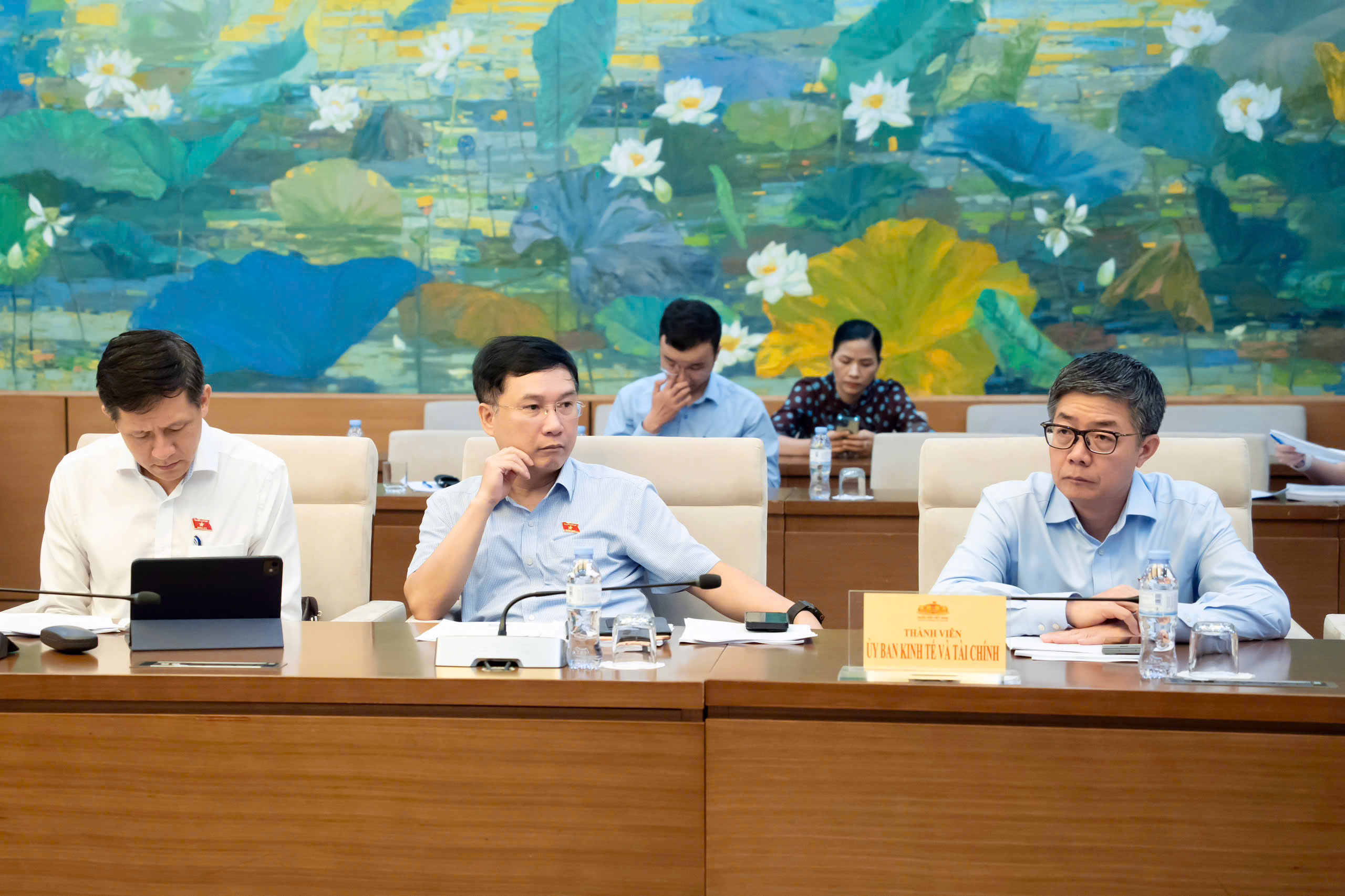 Uỷ ban Kinh tế và Tài chính thẩm tra sơ bộ dự án Luật Đấu giá tài sản (sửa đổi)