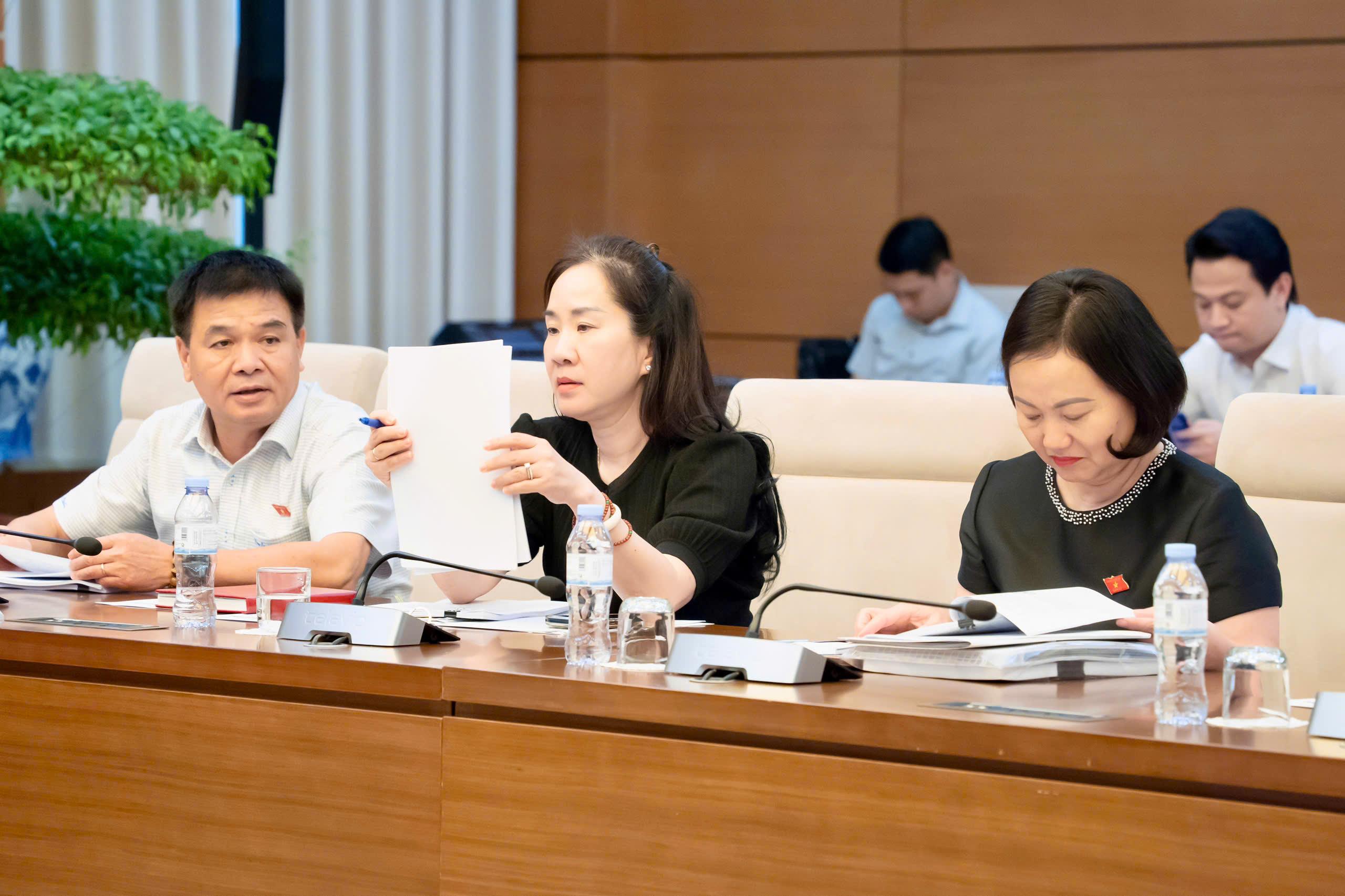Uỷ ban Kinh tế và Tài chính thẩm tra sơ bộ dự án Luật Đấu giá tài sản (sửa đổi)