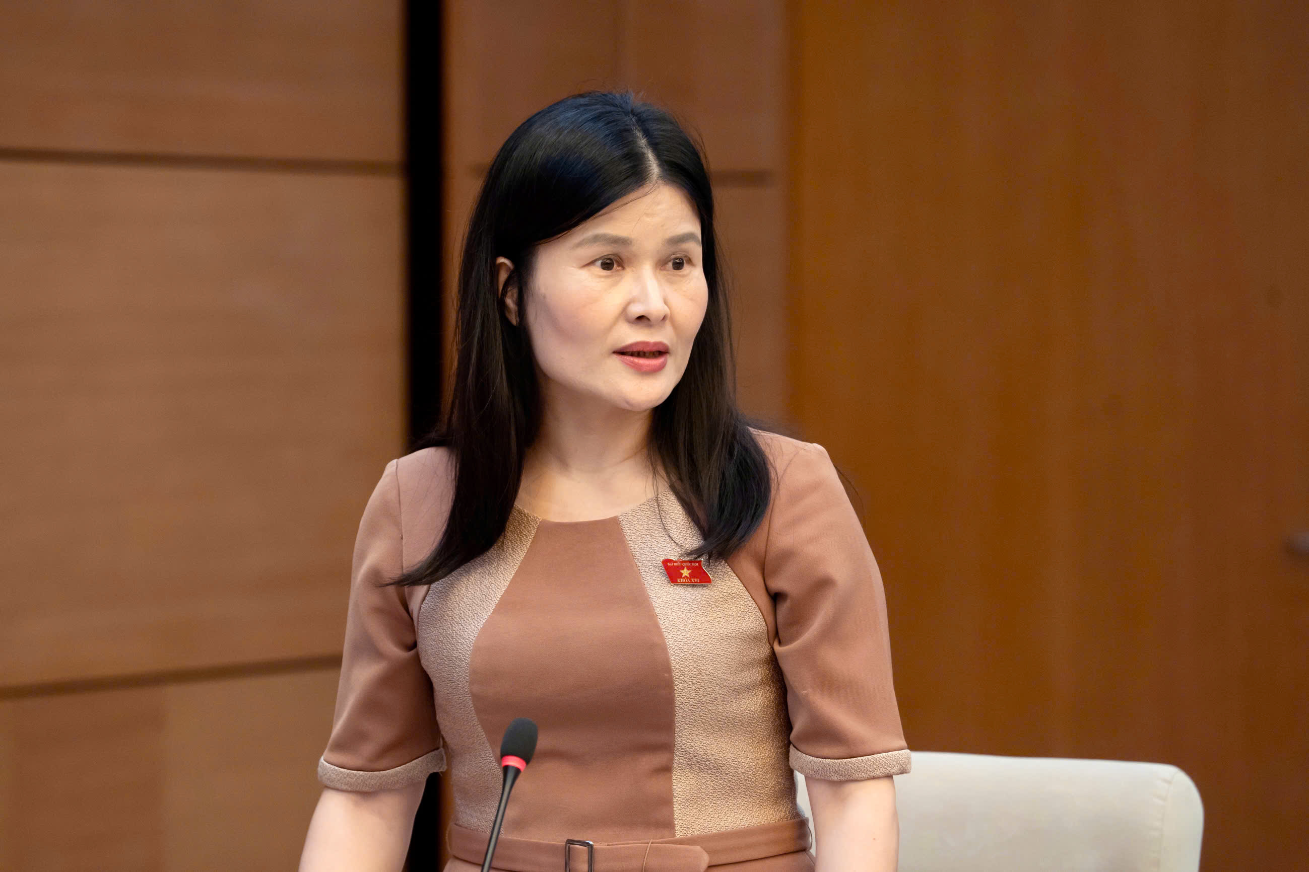Uỷ ban Kinh tế và Tài chính thẩm tra sơ bộ dự án Luật Đấu giá tài sản (sửa đổi)