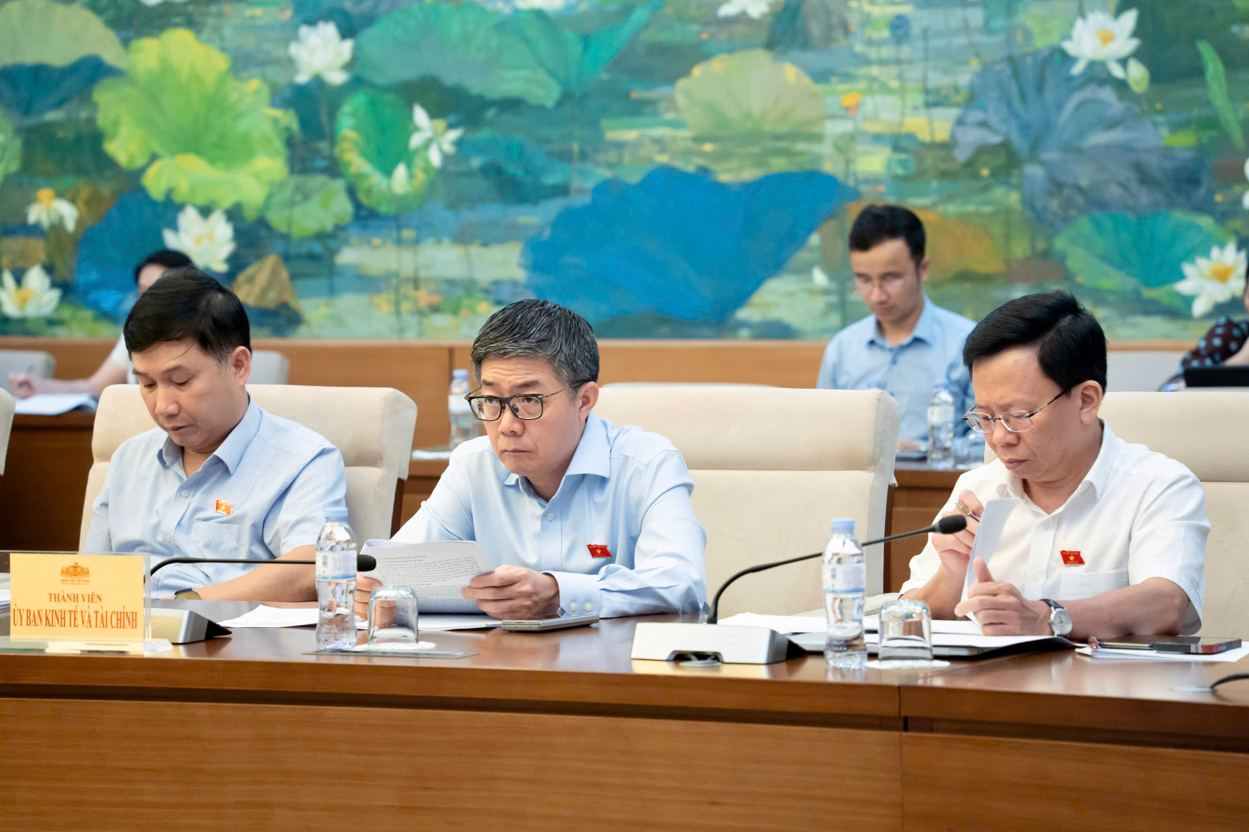 Uỷ ban Kinh tế và Tài chính thẩm tra sơ bộ dự án Luật Đấu giá tài sản (sửa đổi)