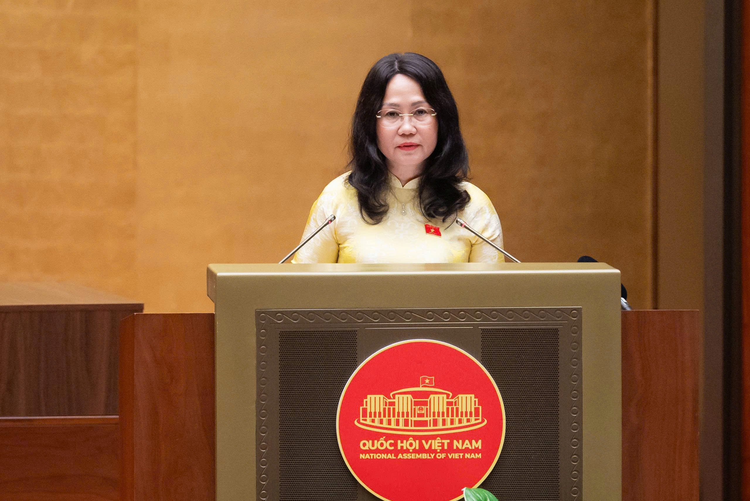 Sáng nay (5/8), Quốc hội nghe tờ trình và thảo luận tại tổ về nhiều dự án luật quan trọng - 5