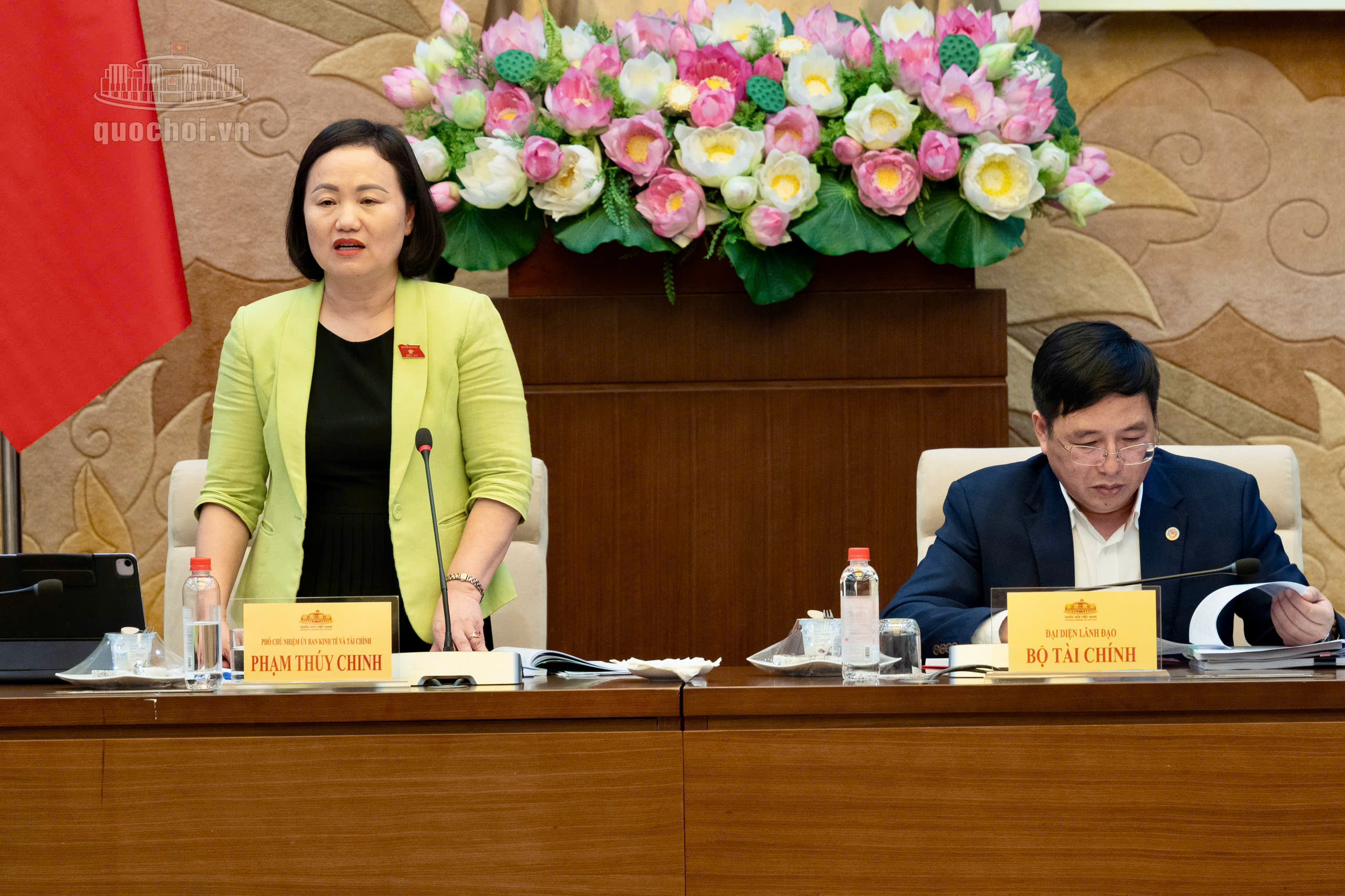 Phó Chủ nhiệm Ủy ban Kinh tế và Tài chính Phạm Thúy Chinh phát biểu