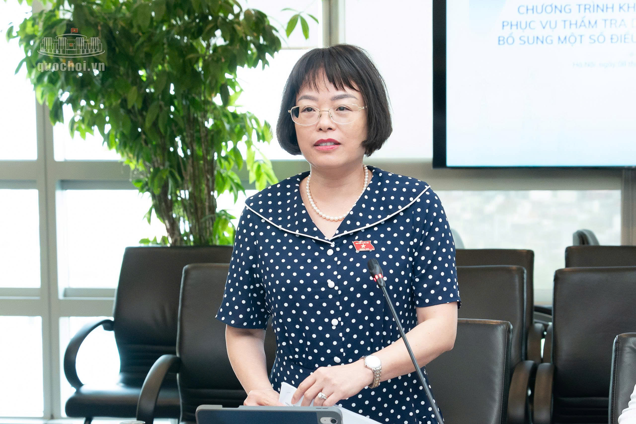 Phó Chủ nhiệm Ủy ban Khoa học, Công nghệ và Môi trường Nguyễn Thị Mai Phương phát biểu